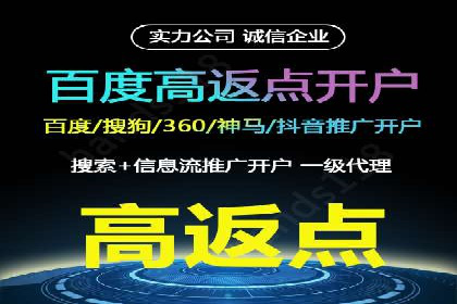 百度SEO推广公司案例精选：揭秘关键词优化策略