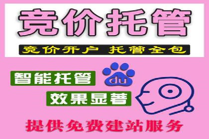 行业领先SEM竞价员的策略与实战案例
